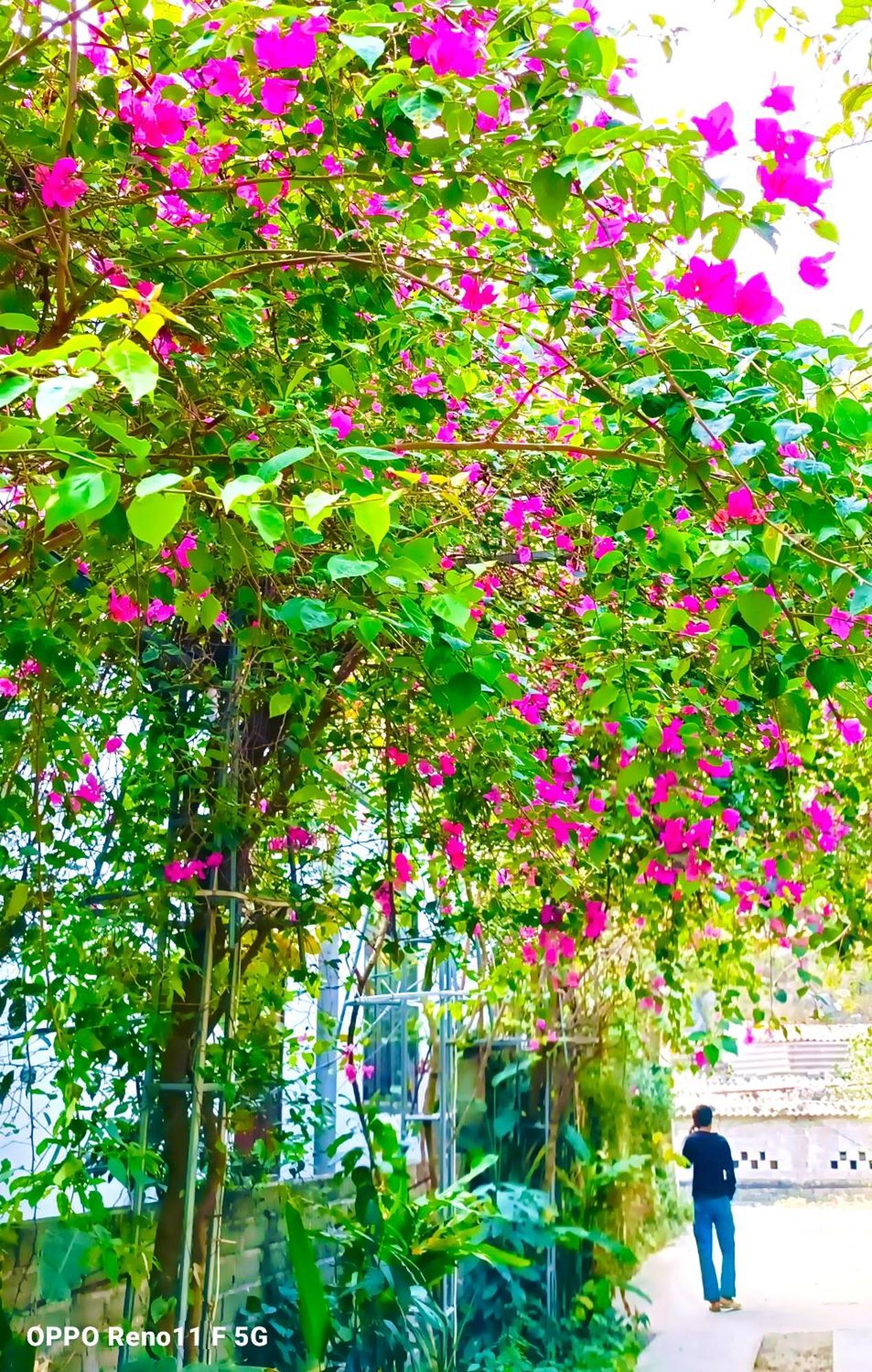 Hang Mua Eco Garden Xuan Son Exterior photo